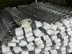 一.篩.濾網(wǎng)系列，過濾芯